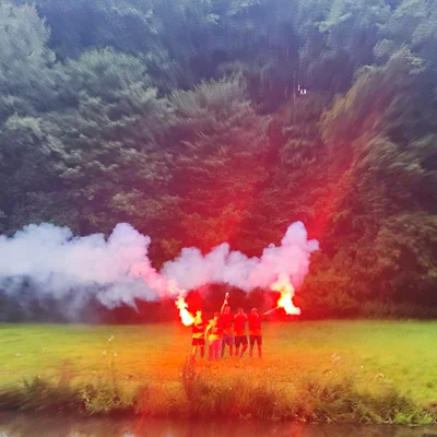 Bild